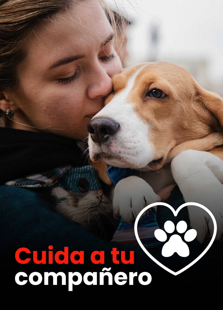 MINI GPS INTELIGENTE + ALTAVOZ