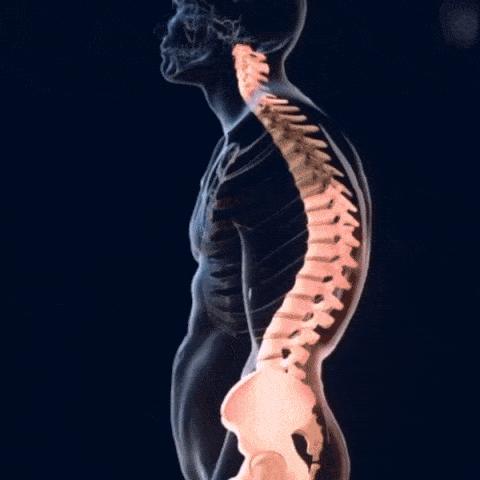 CORRECTOR DE POSTURA INTELIGENTE